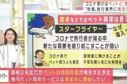コロナ明けの旅行が変わる！ペットと一緒に空の旅(2021年9月16日)