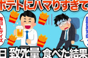 【2chおもしろスレ】ポテトにハマり過ぎた結果、人生が終了しかけるwww【ゆっくり解説】