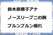 鈴木奈穂子アナ　ノースリーブ二の腕プルンプルン揺れGIF