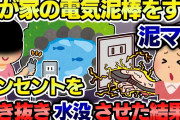 【2ch 泥ママ】人の家の電気を盗む泥ママ→ケーブルを引っこ抜いて水没させた結果ww