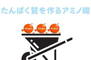 「タウリン」が運動パフォーマンス向上や筋力維持に大いに役立つことが判明←お薦め栄養ドリンク教えて