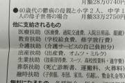 【画像】女さん「あーし、子持ちの女なんですけど」さいたま市「ナマポ月33万支給します」