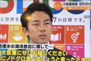 【悲報】記者「処理水の排水についての話を…」小泉進次郎「ノドグロの話ですか？」