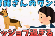 【2ch面白いスレ】お姉さんのワンコ グッジョブすぎる！
