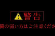 【閲覧注意】ガチでヤバいサイトが発見される