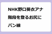 NHK野口葵衣アナ　階段を登るお尻にパン線！油山観音の石段を上る充実したお尻