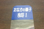 ワイの家の表札にこれ貼った糞ガキこい