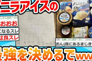 【2ch面白いスレ】カップバニラアイスの食べ比べトーナメント戦するで！