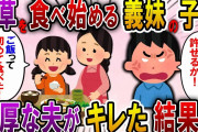 【2ch スカっと】義妹夫婦の子供を預かると雑草を…→衝撃の事実が明らかになり、温厚な夫が怒り狂った…【スカっとする話】