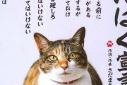 【悲報】猫好きさん、放し飼いした猫が他人の盆栽園に侵入し紐に絡まって死んで激怒