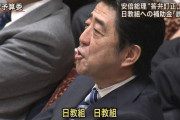 【画像】首相時代の安倍、イキり散らしていた