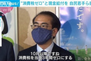 【悲報】自民党若手議員、どう見ても60代