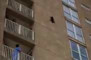 【動画】アライグマ、9階の高さから落下してしまう
