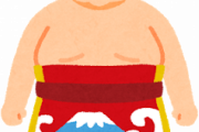 稀勢の里とかいうレジェンドの域に片足突っ込んでる力士wwwwww