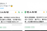 【画像あり】「治安が悪すぎる」川口市、3ヶ月間で4人の遺体が川に浮かんだ状態で発見される