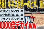 【2ch面白いスレ】【悲報】ギネス世界一のピザ、創造の20000倍デカイｗｗｗｗｗｗｗ　聞き流し/2ch天国