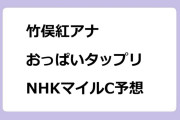 竹俣紅アナ　おっぱいタップリ！NHKマイルC予想