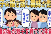 【2chスカッとスレ】双子の娘を残して義妹が他界。実家を奪った義姉夫婦が葬儀で「子供はあげるｗ」⇒無職ニートの独身女が二人の子を育て12年後…【ゆっくり】