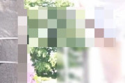 【バカッター】変態女が全裸で徘徊、公共の場で放尿する迷惑・不衛生行為の動画を大量公開（画像あり）