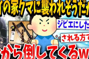【2ch面白いスレ】おうちの裏山に討伐しに行くで→結果www【ゆっくり解説】
