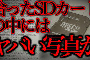 【2ch怖いスレ】ゴミ箱から拾ったSDカードの中身を見てみると…「メモリーカードの中身」【ゆっくり解説】