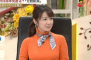 【画像】BSフジの長野美郷キャスターのニット乳がエロい！