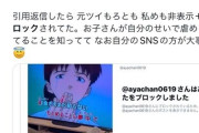 【悲報】迷惑系YouTuberあやなんさん、SNSで暴れまくった結果子供がハブられてしまう