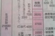 【胸糞】月額わずか『29万円程度』の生活保護費しか貰えていないシングルマザーの実態がコレ…………
