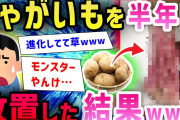 【2ch面白いスレ】ワイの部屋で放ったらかしにされたじゃがいもの姿がヤバすぎるｗｗｗｗ…→「ヒエェェェェ!!!」スレ民絶叫www