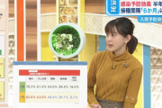 【画像】ひるおびで若林有子アナのニットおっぱい！可愛過ぎィ
