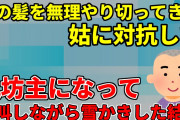 【2ch修羅場スレ】無理やり髪を切ってきた姑にキレて丸坊主になり奇声をあげながら雪かきした結果【ゆっくり解説】