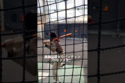 【動画】女がバッティングセンターに挑戦した結果ｗｗｗ