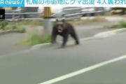 【速報】ヒグマで大混乱中の札幌市、全裸男と忍者まで現れた模様