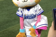 【画像】かわいいプロ野球マスコット(♀)たち！