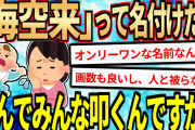 【2ch修羅場スレ】オンリーワンの名前なのに、なんで皆叩くんですか？【ゆっくり解説】