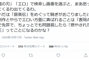 【悲報】フェミさん　「ギャーッッ！“鬼滅　エロ”で検索したら出てくる出てくる、何なのもう！！」