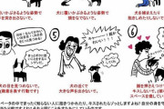 【画像】犬「無闇に接触してくる陰へ」