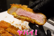 【悲報】ヒカキンさんレアすぎるトンカツを作ってしまい無事炎上