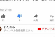 【画像】すげえYouTuberいた