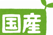 【衝撃】昔「やっぱり日本製が1番！」現在「日本製？あ…いいっす…」