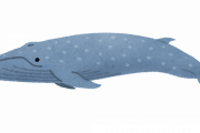 【朗報】地球史上最大の生物はシロナガスクジラだったｗｗｗｗｗｗｗ