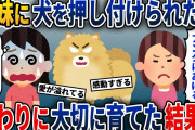 狂暴なポメラニアンを義妹に押し付けられた私→代わりにウチで育ててみると…【2ch修羅場スレ・ゆっくり解説】