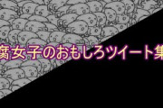 【おもしろ文章】腐女子のおもしろツイート集【傑作選】
