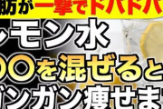 ズバリ！！レモン水ダイエットは痩せるかどうかをプロが解説し答えを導き出した
