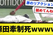 【WBC】源田牽制死wwwwwwww【反応集】【プロ野球反応集】【2chスレ】【1分動画】【5chスレ】