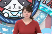 【画像】テレビ神奈川・岡村帆奈美アナの横乳すっげえええええ