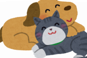 【悲報】犬と猫、どちらが人気かハッキリしてしまうｗｗｗ