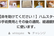 【画像】ハムスターの命が危ない！クラウドファウンディングに協力しろお前らｗｗ