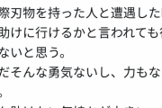 【悲報】那須川天心「刃物持ってるやつからは逃げろ、勝てん」