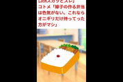 【2chスカッとスレ】コトメ「嫁子の作る弁当は色気がない。これならオニギリだけ持ってった方がマシ」んならオニギリだけ持ってけ